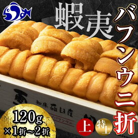 【ふるさと納税】【先行予約/2026年1月より発送】容量 × 等級が選べる 先行予約 折うに 120g ～ 240g 北海道知床羅臼産 天然 エゾバフンうに（特上） エゾバフンウニ ウニ 雲丹 刺身 海鮮丼 魚介類 冷蔵