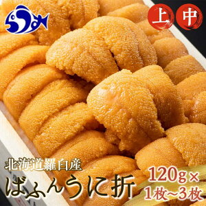yӂ邳Ɣ[Łzys\/2026N1蔭zeʂƓIׂ PY ܂   100g×1 2 3 ӂ邳Ɣ[  kCY m VR G]otEj Ej _O hg CN CY