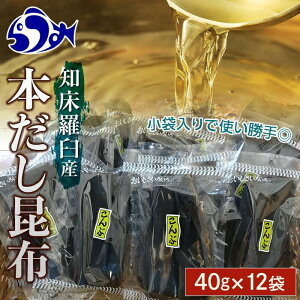 yӂ邳Ɣ[ŁzPzpz12܃Zbg(40g×12)kC@m@PY@Y x 