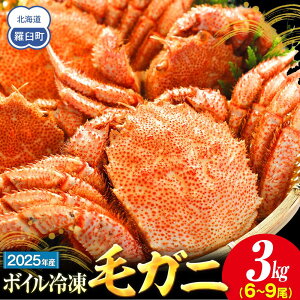 yӂ邳Ɣ[Łz2025NY@{CⓀуKj@1kg`3kg@300g`500g@2`9 | I  Y Hi lC  
