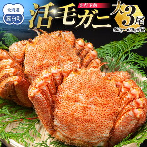 �y�ӂ邳�Ɣ[�Łz �y��s�\��/2026�N4�������J�n�z���уK�j�@��1���`��3���i600g�`650g�O��j | �I ����� ���Y �H�i �l�C �������� ��������