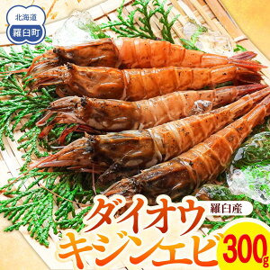 yӂ邳Ɣ[Łz_CIELWGr(KTGr) 300g  Gr CV   kC P CY Ⓚ hg tC Y x 