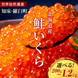 【ふるさと納税】＼高評価★4.6以上／【発送月・容量選択可】北海道産 いくら（鮭卵）醤油漬け 大容量200g ～1.2kg | イクラ 海鮮丼 ギフト 鮭いくら 年末 贈り物 魚介類 魚介 北海道 海産物 鮭 しゃけ 高評価★4.6 数量限定 羅臼町 生産者 支援 応援