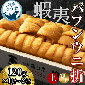 【ふるさと納税】＜先行受付＞＜27年1月～6月内発送＞容量 × 等級が選べる 先行予約 折うに 120g ～ 240g 北海道知床羅臼産 天然 エゾバフンうに エゾバフンウニ ウニ 雲丹 刺身 海鮮丼 魚介類 冷蔵