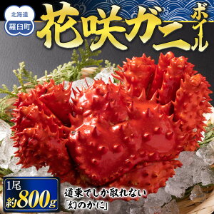 yӂ邳Ɣ[ŁzԍKj {C 800g O 1 ɖX Jj I kCY CY   CN 芪 i  VN CN  Y x 