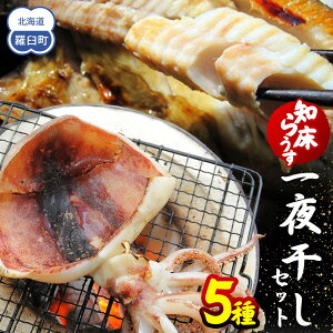 yӂ邳Ɣ[Łzm炤 銱Zbg  kC CY   ق zbP LL  ߂  @JC p    т̂  P kC Y 