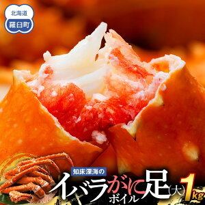yӂ邳Ɣ[Łzm[C̃Coɑ(){C 1kg kC P CY   Jj Y x 