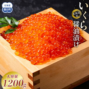 【ふるさと納税】\ランキング入賞/高評価★4以上【発送月・容量選択可】北海道産 いくら(鮭卵)醤油漬け 大容量200g 〜1.2kg | イクラ 海鮮丼 ギフト 鮭いくら 年末 贈り物 魚介類 魚介 北