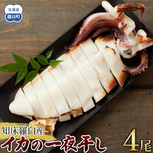 【ふるさと納税】数量限定 渋谷さん家の知床羅臼産 イカの一夜干し 中サイズ 4尾(200g前後×4パック) 北海道 海産物 魚介類 魚介 干物 肴 バーベキュー BBQ アウトドア 炭火 生産者 支援 応援