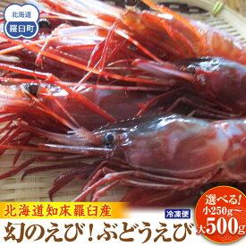 【ふるさと納税】【容量選択可】幻のぶどうえび 小・250g /9尾前後～大・500g /8～12尾前後