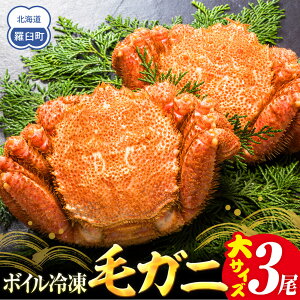 �y�ӂ邳�Ɣ[�Łz�y��s�\��/2026�N4�������J�n�z2026�N�Y�@�{�C���Ⓚ�уK�j�@��1���`��3���i600�`650g�j | �I ����� ���Y �H�i �l�C �������� ��������