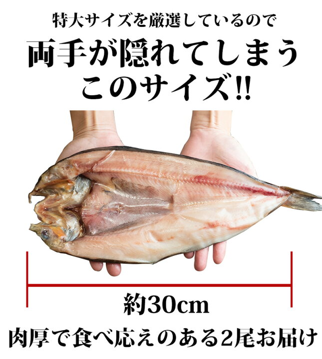 最大96 オフ 福井白山ポーク豚ロースしゃぶしゃぶ用 1 5kg 送料 無料 国産 福井 越前 武生 豚肉 ロース しゃぶしゃぶ 109 Fucoa Cl