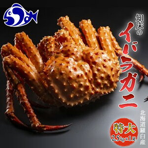yӂ邳Ɣ[ŁzmCo p() ΂炪  Jj I P kCY CY Y x 