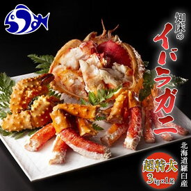 楽天市場 イバラ カニの通販