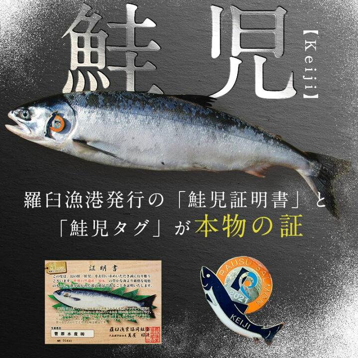 楽天市場 ふるさと納税 北海道羅臼産 幻の鮭児 白鮭 1本 2 1 2 5kg 数量限定 切り身加工 世界遺産知床の海 秋鮭 しゃけ 魚 北海道 海産物 魚介 魚介類 知床 しれとこ 羅臼 らうす 世界自然遺産 人気 ブランド 天然 鮭 さけ サケ シャケ 脂 送料無料 F21m 613