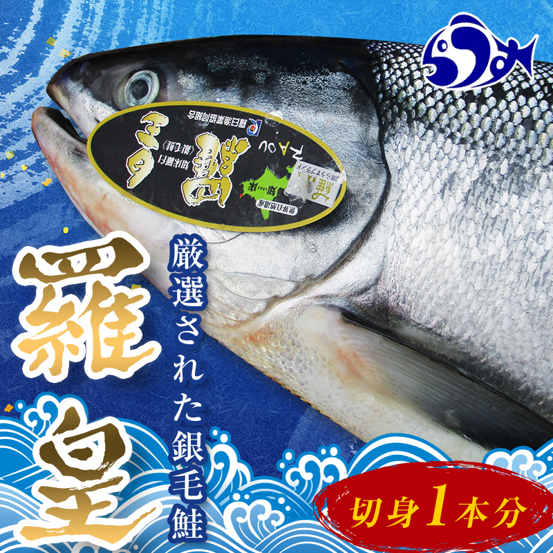 北海道 知床羅臼産 鮭 羅皇らおう 人気 ブランド 魚介類