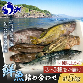 【ふるさと納税】知床羅臼産 鮮魚詰め合わせA　約5kg 魚 さかな 旬の魚 鮮魚 羅臼町 北海道 生産者 支援 応援