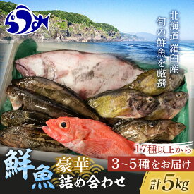 【ふるさと納税】知床羅臼産 鮮魚詰め合わせB　約5kg 魚 さかな 旬の魚 鮮魚 羅臼町 北海道 生産者 支援 応援