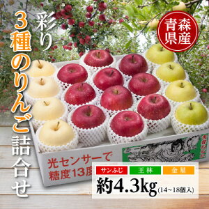 yӂ邳Ɣ[Łz/XY@ʂ3̂񂲋l 4.3kgyzsnFzy1655312z