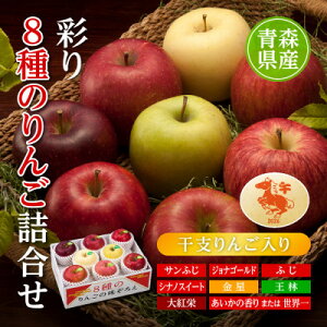 yӂ邳Ɣ[Łz/XY@ʂ8̂񂲋l(x񂲓)yzsnFzy1655323z