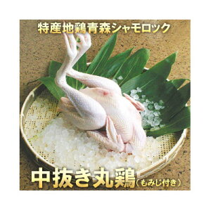 yӂ邳Ɣ[ŁzXVbN ی{1H 1.7L`2.0L (݂t)yzsnFzy1657295z