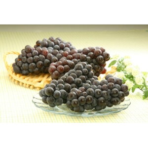 【ふるさと納税】青森県産 スチューベン(生)2kg【1668501】