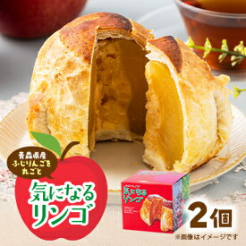 【ふるさと納税】気になるリンゴ 350g×2個入り【1668680】