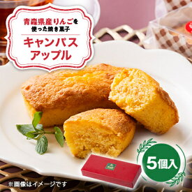 【ふるさと納税】キャンパスアップル　5個入り【1678685】