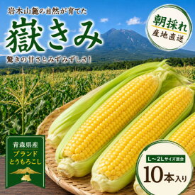 【ふるさと納税】とうもろこし 朝採り 嶽きみ(だけきみ) 10本 L～2Lサイズ 冷蔵【配送不可地域：離島・沖縄県・九州】【1757166】