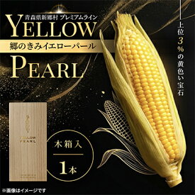 【ふるさと納税】上位3%の奇跡「郷のきみイエローパール」プレミアムとうもろこし　1本【配送不可地域：離島・沖縄県・九州】【1760836】