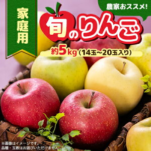 yӂ邳Ɣ[Łzƒpy2025N11`2026N3z_ƂXX!{̂񂲖5kg(14ʁ`20ʓ)yzsnFzy1222616z