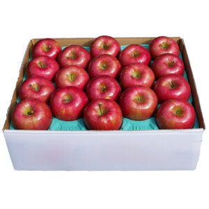 【ふるさと納税】りんご 葉取らずりんご (サンふじ) 約5kg【配送不可地域:離島・沖縄県】【1331571】