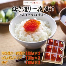 【ふるさと納税】一夜漬けのポート詰め合わせギフト「ひまわり」 120g×9パック【配送不可地域：離島】【1372227】