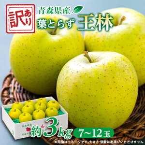yӂ邳Ɣ[Łzy󂠂񂲁zXsYt炸і3kg(p)yzsnFEꌧzy1466366z