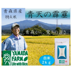 【ふるさと納税】【さつき米】青森県産米「青天の霹靂」白米 2kg【1484847】