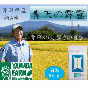【ふるさと納税】【さつき米】青森県産米「青天の霹靂」白米 5kg【1489641】