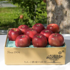 【ふるさと納税】【百年続く青森のりんご農家直送】葉とらずサンふじ 　約3kg　贈答用【12月から発送開始】【配送不可地域：離島】【1506061】