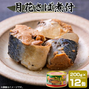 yӂ邳Ɣ[Łz}nj` ԂΎϕt 200g×12yzsnFzy1544250z