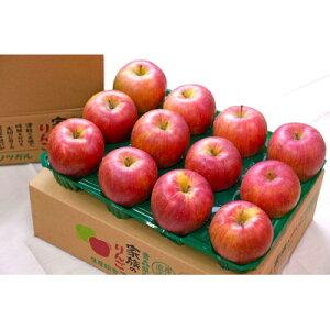 yӂ邳Ɣ[Łzy2025N10\zϓx12xȏ! tƂ炸T 3kg 󂠂yzsnFEꌧzy1607036z