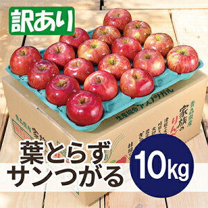 yӂ邳Ɣ[Łzy2025N10\zϓx12xȏ! tƂ炸T 10kg 󂠂yzsnFEꌧzy1607059z