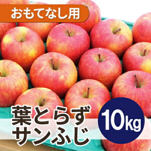 yӂ邳Ɣ[Łzy2025N11\zϓx13xȏ! tƂ炸Tӂ 10kg ĂȂpyzsnFEꌧzy1607466z
