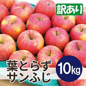 yӂ邳Ɣ[Łzy2025N11\zϓx13xȏ! tƂ炸Tӂ 10kg 󂠂yzsnFEꌧzy1607470z