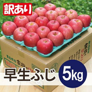 yӂ邳Ɣ[Łzy2025N10\zϓx12xȏ! ӂ 5kg 󂠂yzsnFEꌧzy1607480z