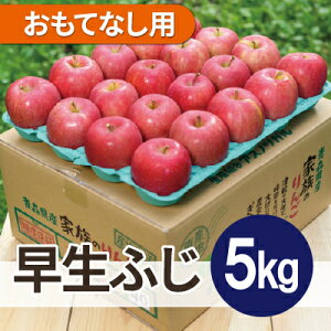 yӂ邳Ɣ[Łzy2025N11\zϓx13xȏ! ӂ 5kg ĂȂpyzsnFEꌧzy1607551z