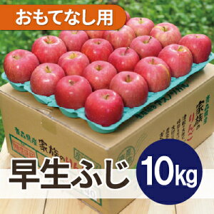 yӂ邳Ɣ[Łzy2025N11\zϓx13xȏ! ӂ 10kg ĂȂpyzsnFEꌧzy1607554z