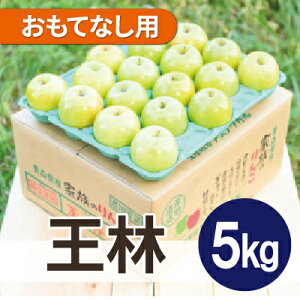 yӂ邳Ɣ[Łzϓx13xȏ!  5kg ĂȂp CA N[ցyzsnFEꌧzy1609588z