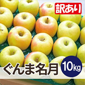 yӂ邳Ɣ[Łzy25N11菇zϓx13xȏ! ܖ 10kg 󂠂yzsnFEꌧzy1609635z