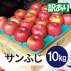 �y�ӂ邳�Ɣ[�Łz�y26�N3���o�ח\��z���ϓ��x13�x�ȏ�! �T���ӂ� ��10kg �󂠂�y�z���s�n��F�����E���ꌧ�z�y1612806�z