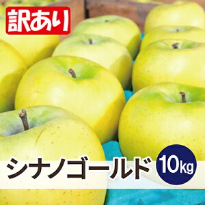 yӂ邳Ɣ[Łzϓx13xȏ! VimS[h 10kg 󂠂yzsnFEꌧzy1612925z