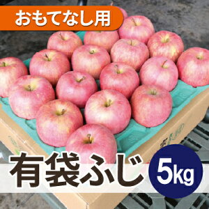 yӂ邳Ɣ[Łzϓx13xȏ! L܂ӂ 5kg ĂȂp CA N[ցyzsnFEꌧzy1613037z